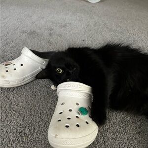 SOLD POSH WONT LET ME DELETE‎ BC OF THEIR DUMB POLICY DO NOT BUY